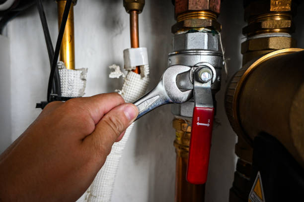 Best Sewer Line Repair  in Fife, WA